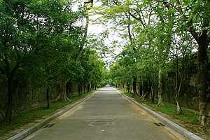 Avenue in the Imperial City
