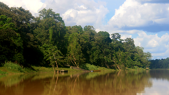 Downstream by Longboat into the Jungle