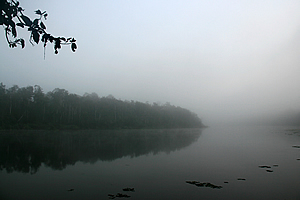 Heavy fog over the lake