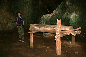 Log sarcophagus