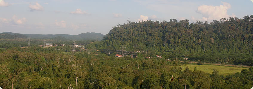 The Kinabatangan