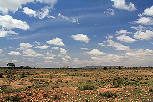 Masai Plain
