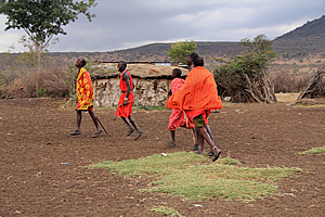 Dancing Masai warriors 