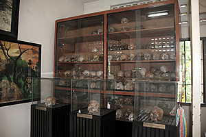 Cabinet full of human skulls