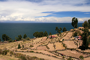 Terraced farmland from pre-Incan times