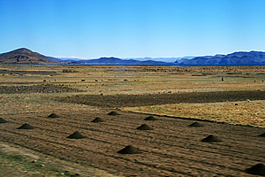 Arid farmland at the edge of the Atacama Desert 