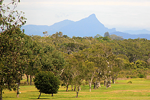 First glimpse of Mount Warning