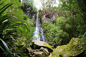 Toolona Falls