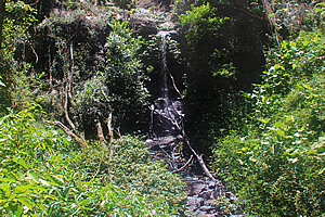 Darraboola Falls