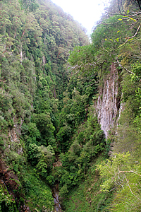 Gorge below the falls 