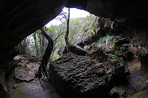 Cave above Dave's Creek