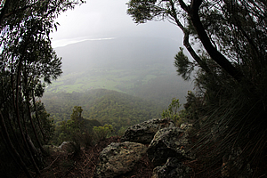 Numinbah Valley view