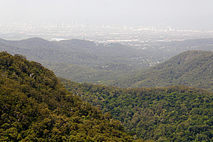 Gold Coast from Canyon Lookout 