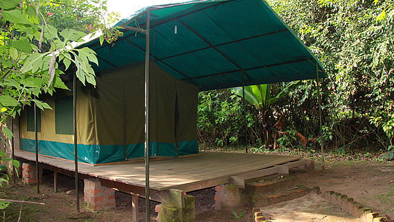The Tent in the Forest