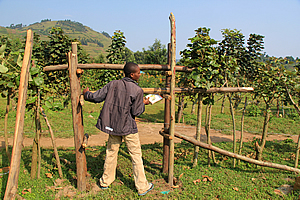 Gate to the orchard behind the school