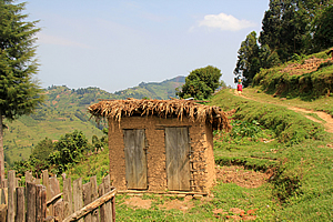 Village toilet 