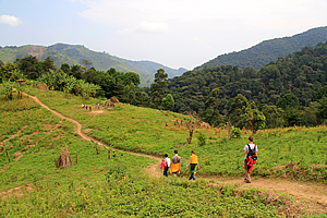 Trail to the pygmy village