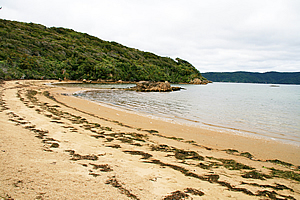 Beach on western end of the island