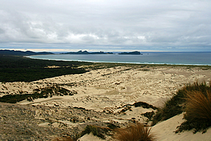 Mason Bay from the top of the dune