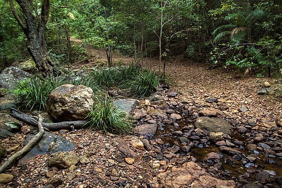 Gheerulla Creek