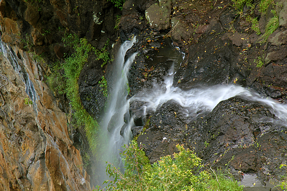 Mapleton Falls