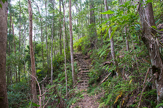 Stairs up the hill
