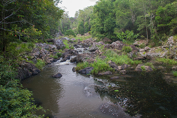 Obi Obi Creek and dam