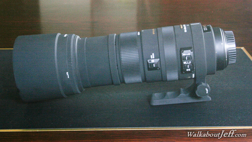 Sigma 150-500mm telephoto lens