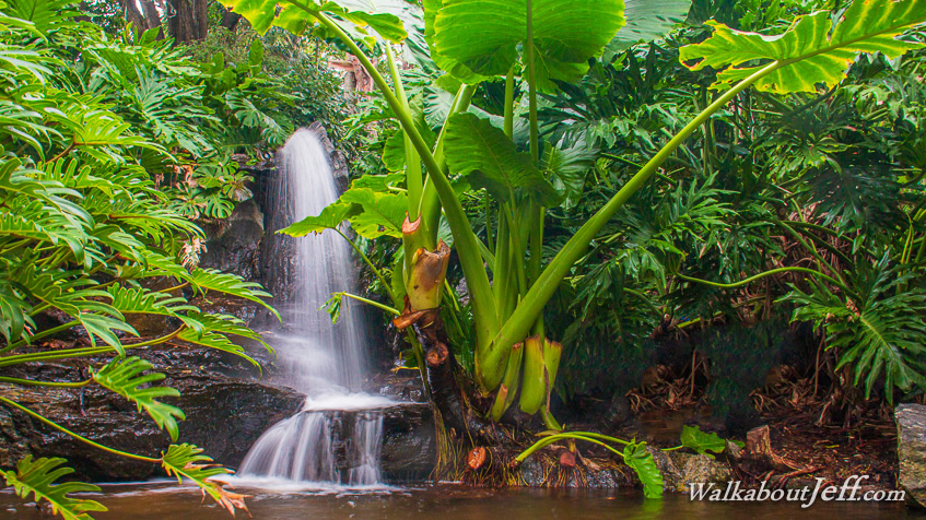 Gardens Waterfall