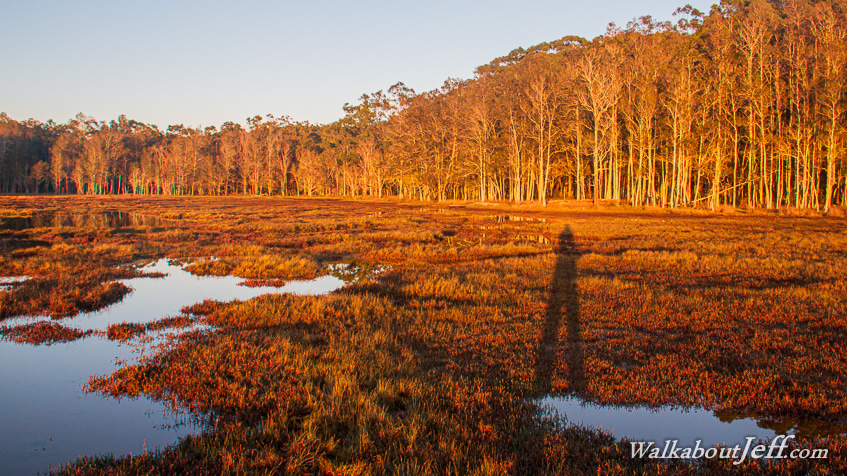 Morning shadow over wetlands