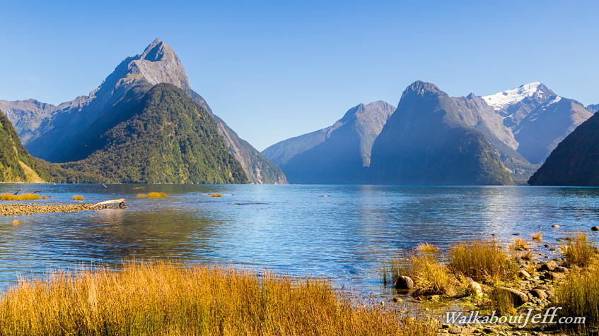 Milford Foreshore and Milford Road 