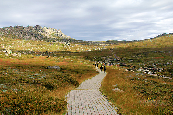 Cobblestone path towards the mountain
