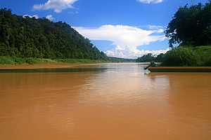 Kinabatangan River