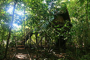 My hut 