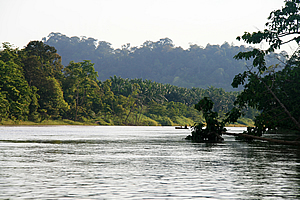 Kinabatangan River