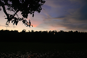 Darkness falls over the lagoon