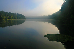 The fog clears