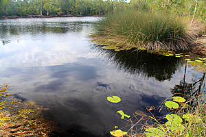 Lagoon at Tyagarah