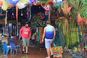 Hemp shops