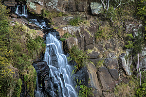 Moran's Falls 