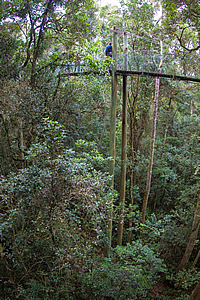 Elevated boardwalk