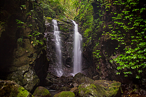 Box Log Falls