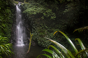 Waterfall plunging into pool 