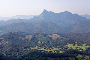 Mount Warning 
