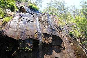 Blackfellow Falls