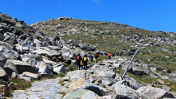 Towards the summit