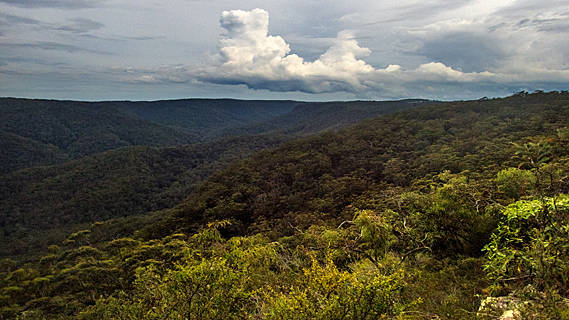 Brutal Climb to the Ridgetop Campsite