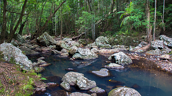 Small stream in a deep gully