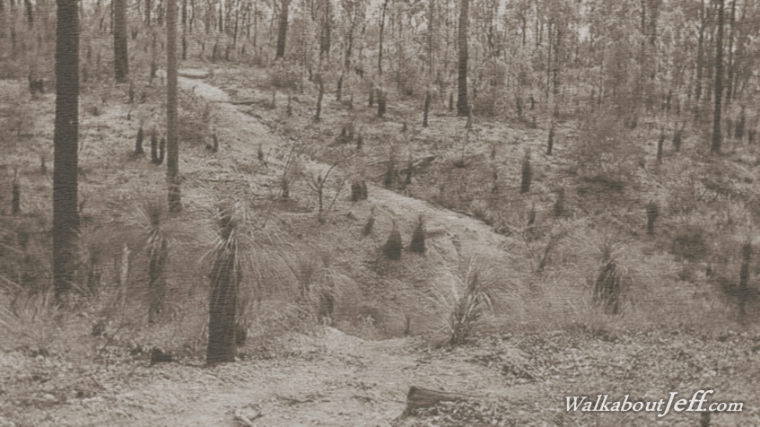 Chermside Hills 