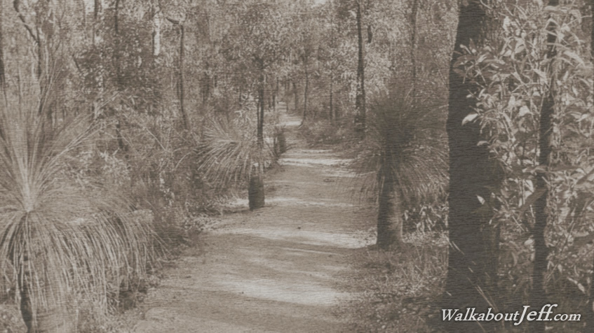 Raven Street Reserve 